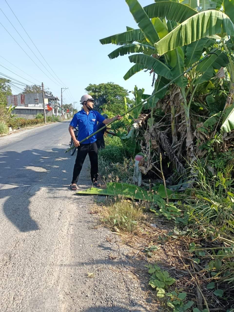 tn5